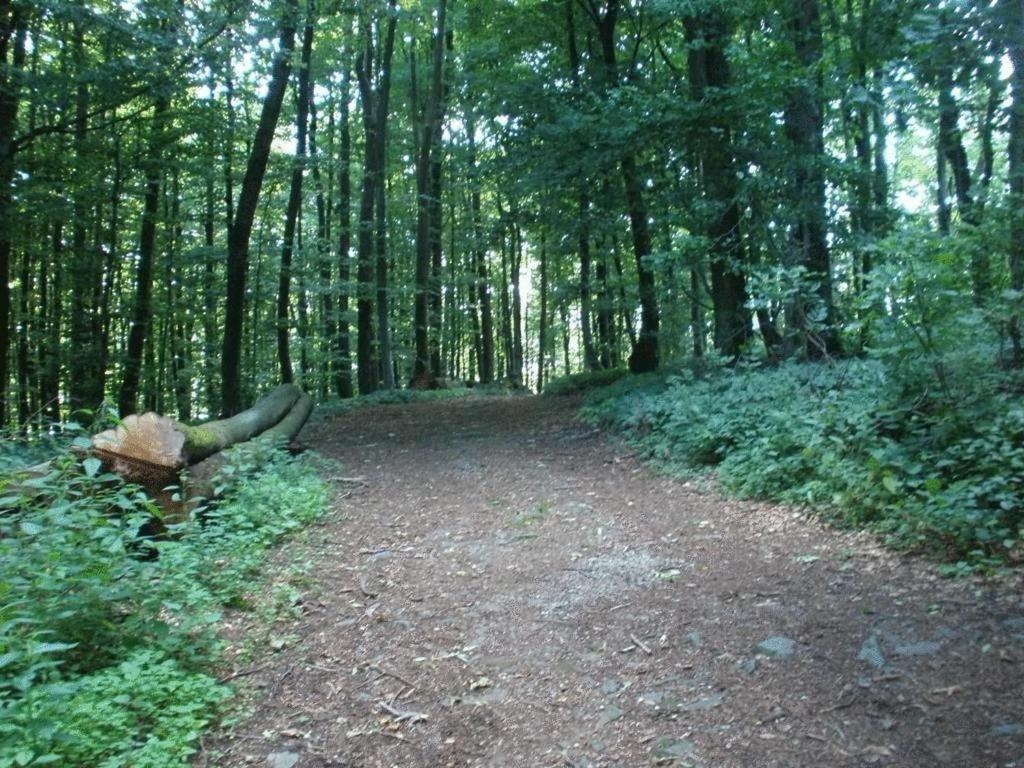 Ferienwohnung Irmgard Und Ferienwohnung Gerlinde Waldbrunn  Esterno foto